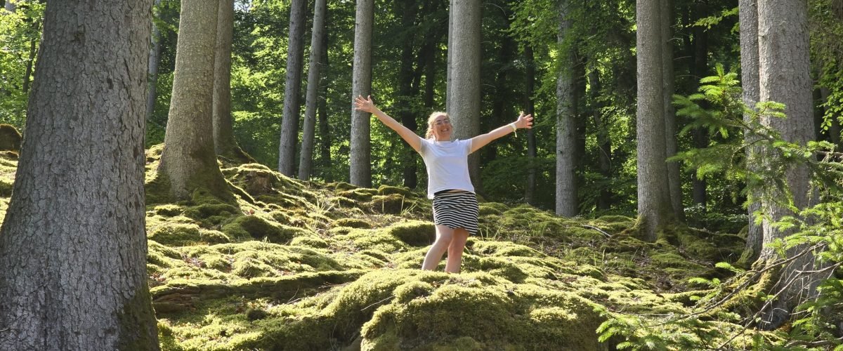 leef lichter in het bos